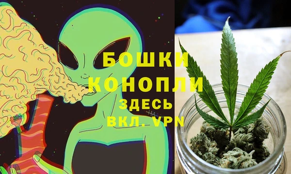 дурь Вяземский