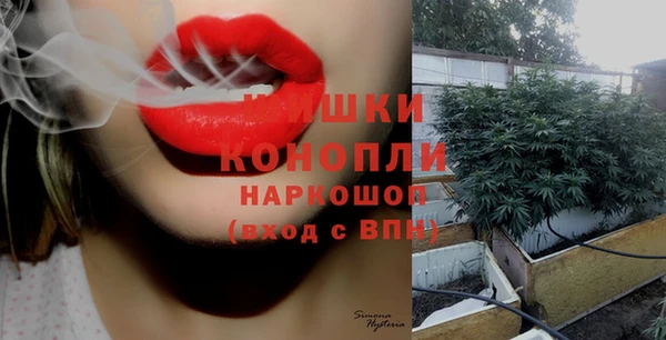 дурь Вяземский