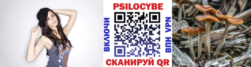 наркотики  Норильск  Галлюциногенные грибы MAGIC MUSHROOMS 